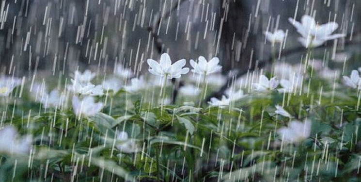 پیش‌بینی بارش تگرگ در 2 استان و هشدار آب‌گرفتگی معابر/ فردا آسمان اغلب شهرها بارانی است